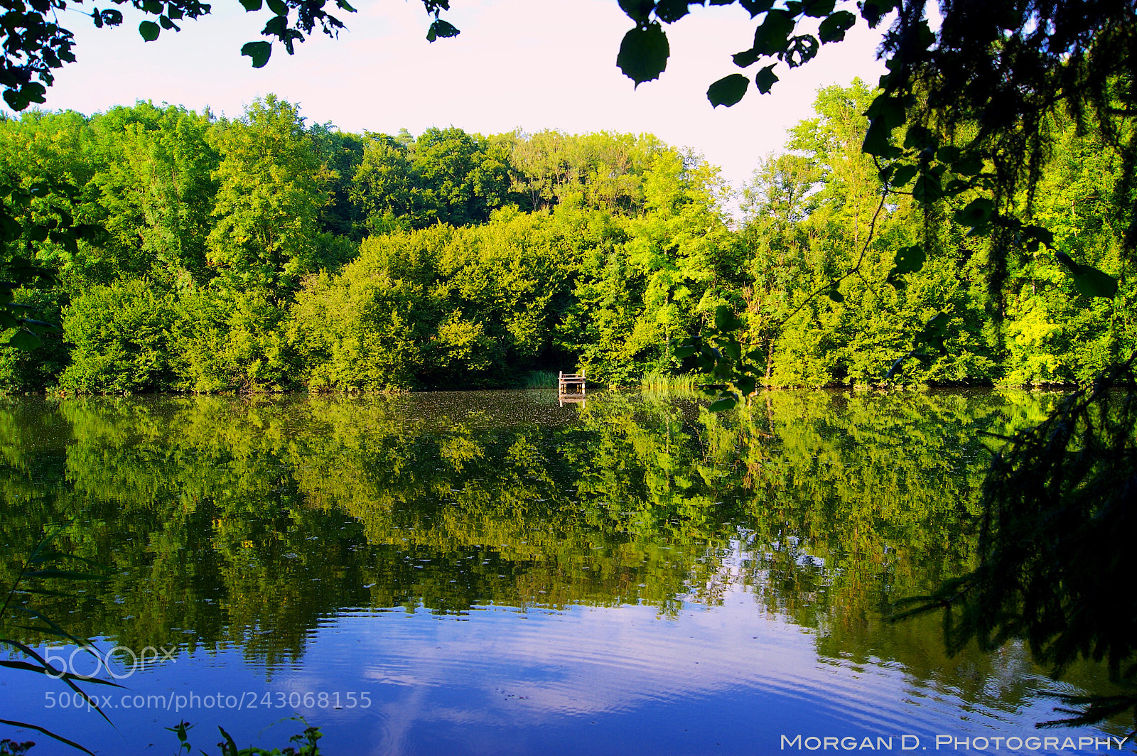 Sony Alpha DSLR-A380 sample photo. Husemersee, zh photography