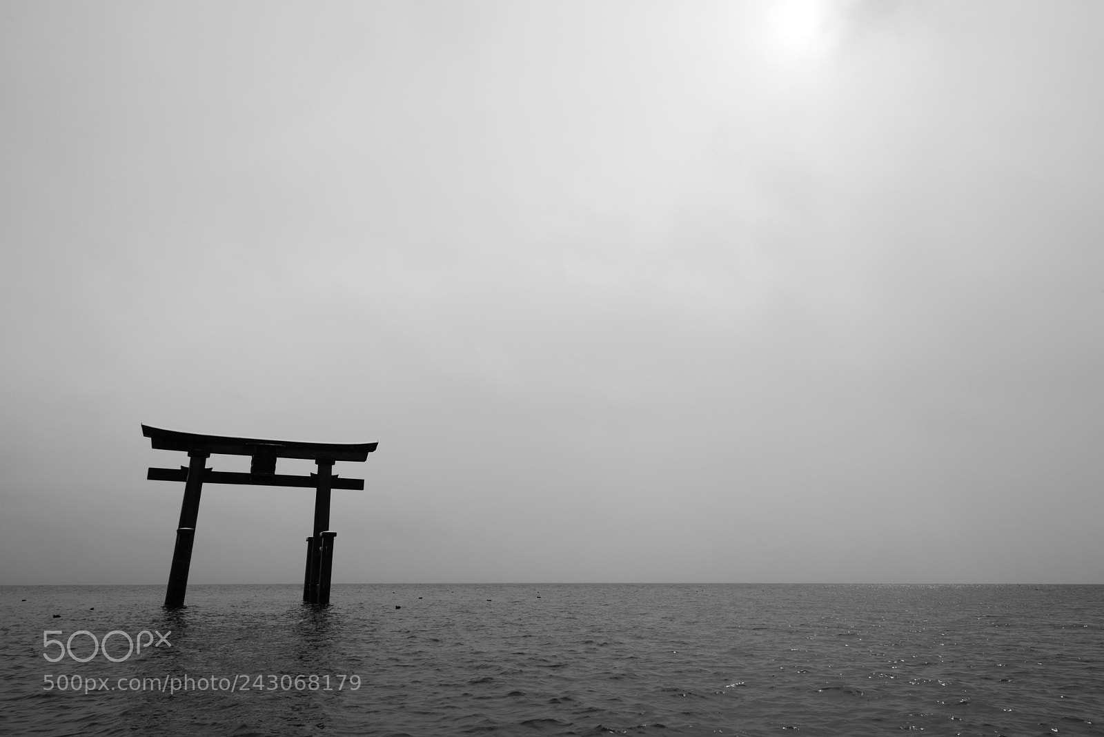 Nikon D810 sample photo. Gate photography