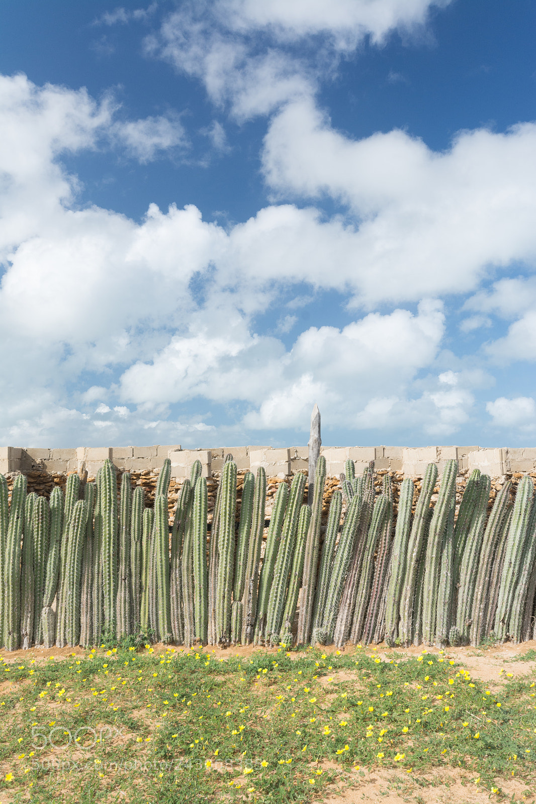 Nikon D7100 sample photo. Punta gallinas latrines photography
