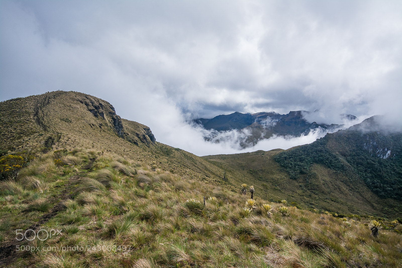 Nikon D7100 sample photo. Summit - los nevados photography