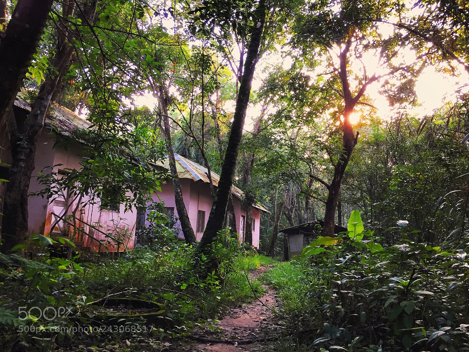 Apple iPhone 6 sample photo. Sunset in bird sanctuary photography