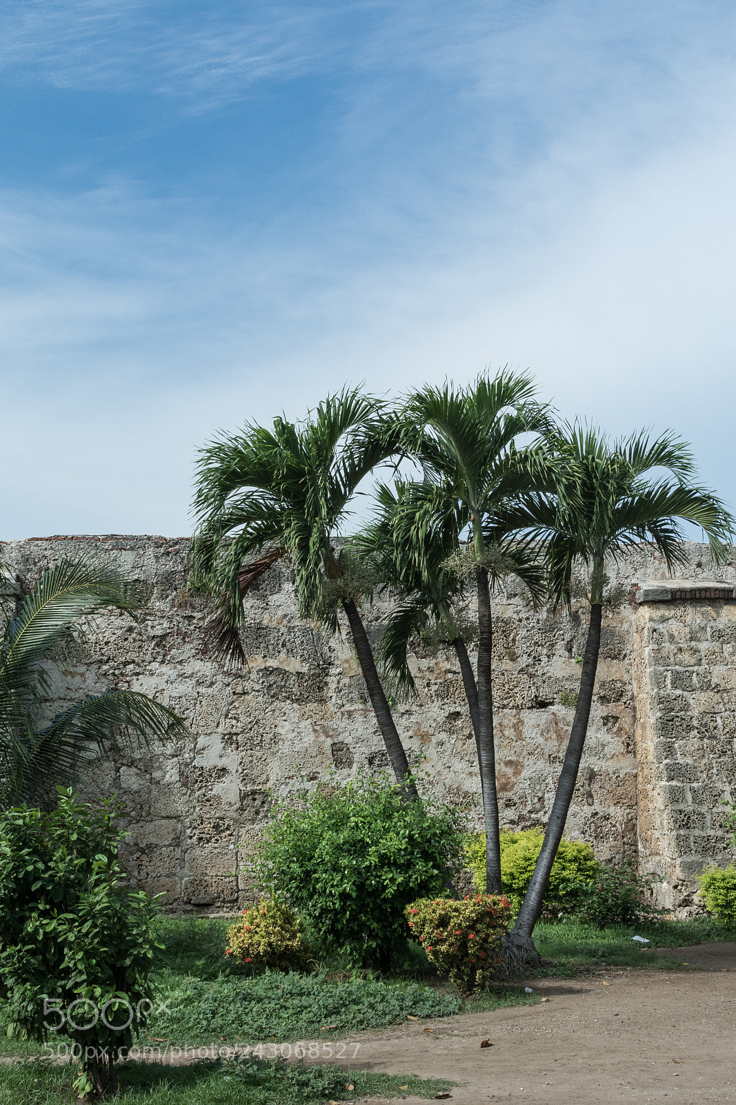 Nikon D7100 sample photo. Palms on the wall photography
