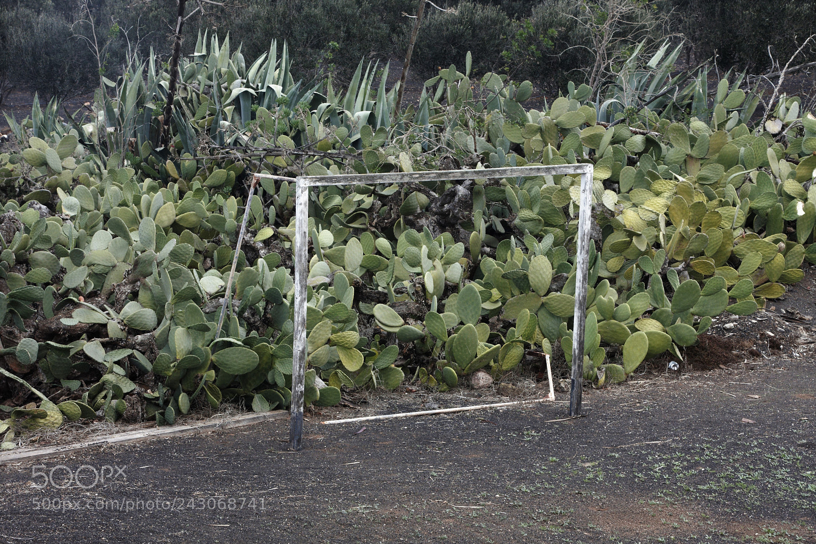 Canon EOS 40D sample photo. Best goalkeeper photography