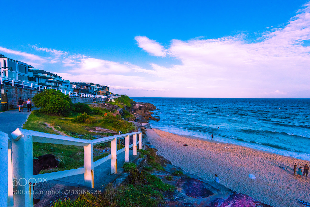 Nikon D810 sample photo. Bronte beach photography