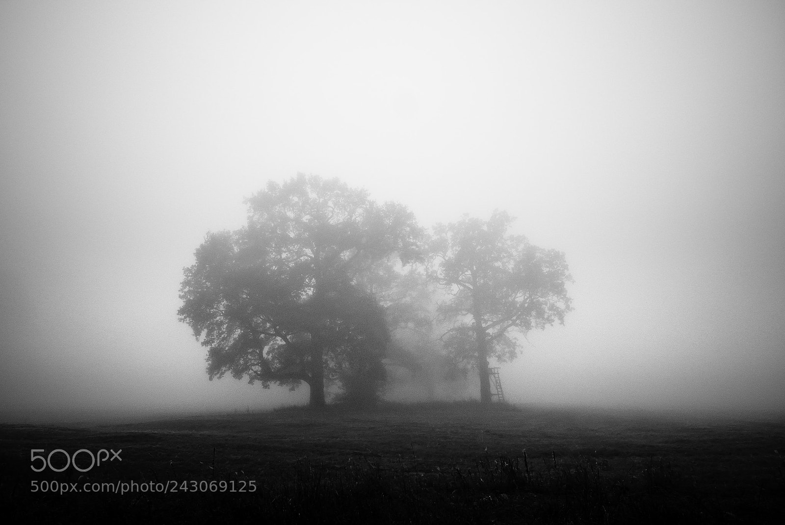 Leica D-Lux (Typ 109) sample photo. L photography