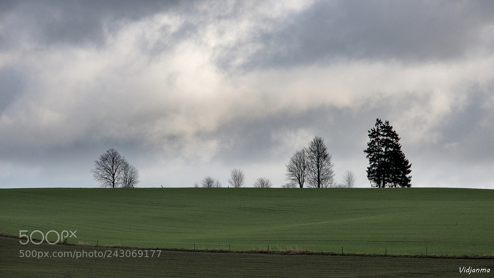 Nikon D610 sample photo. Under the clouds photography