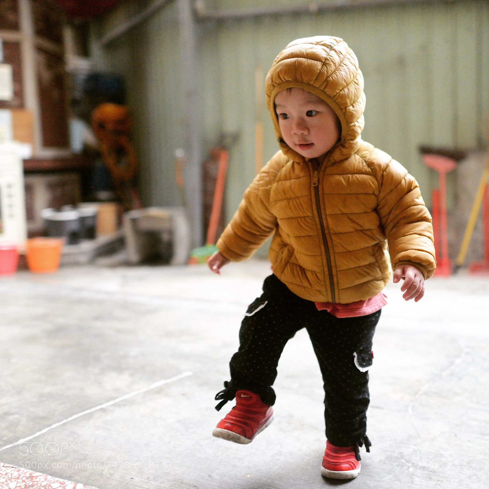 Nikon D800 sample photo. Untitled photography