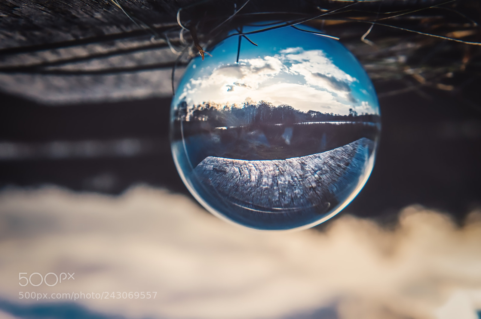 Nikon D810 sample photo. Wild refraction photography