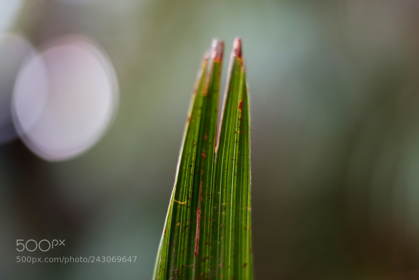 Canon EOS M3 sample photo. Untitled photography