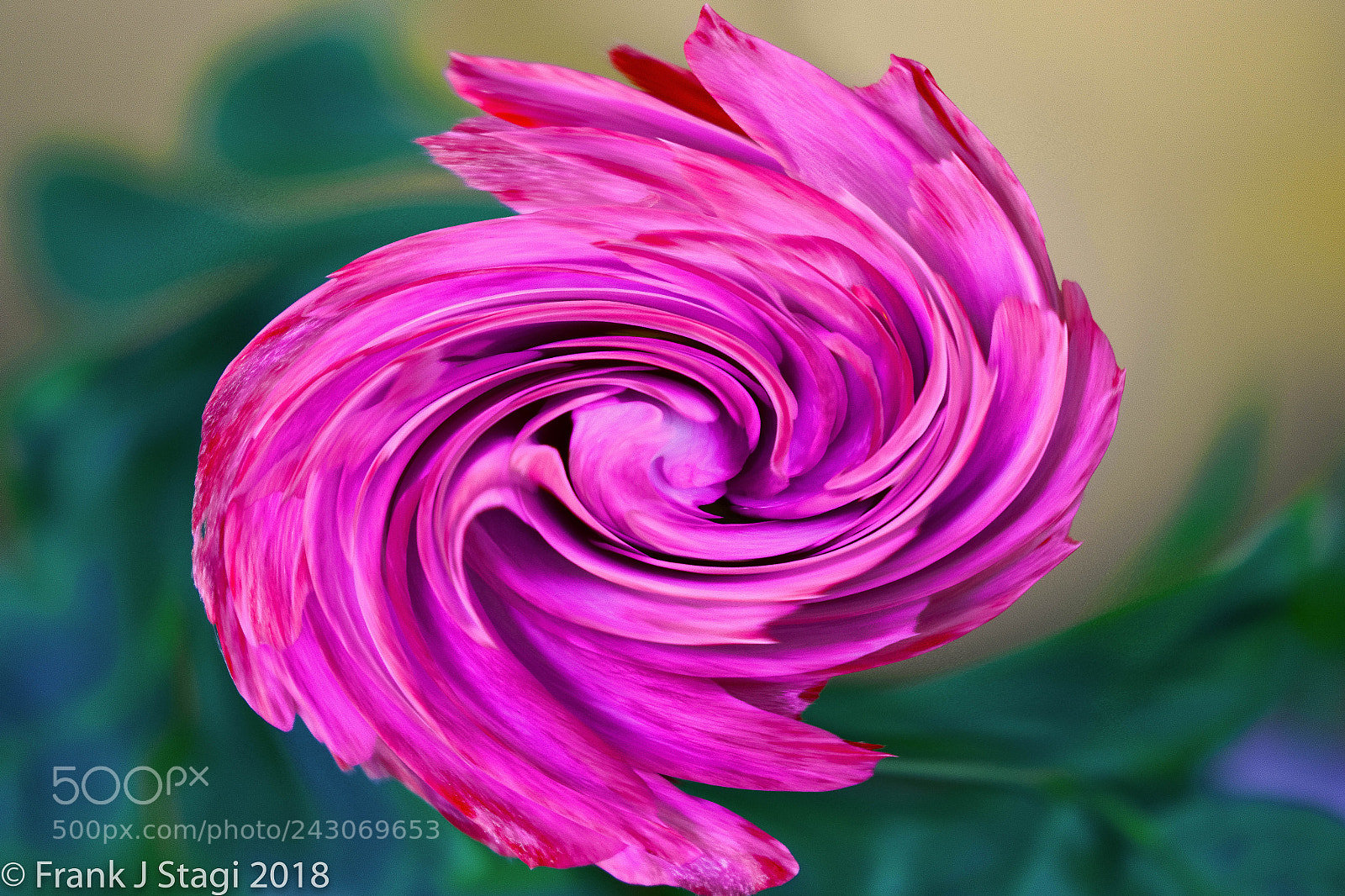 Nikon D7200 sample photo. Pinwheel photography