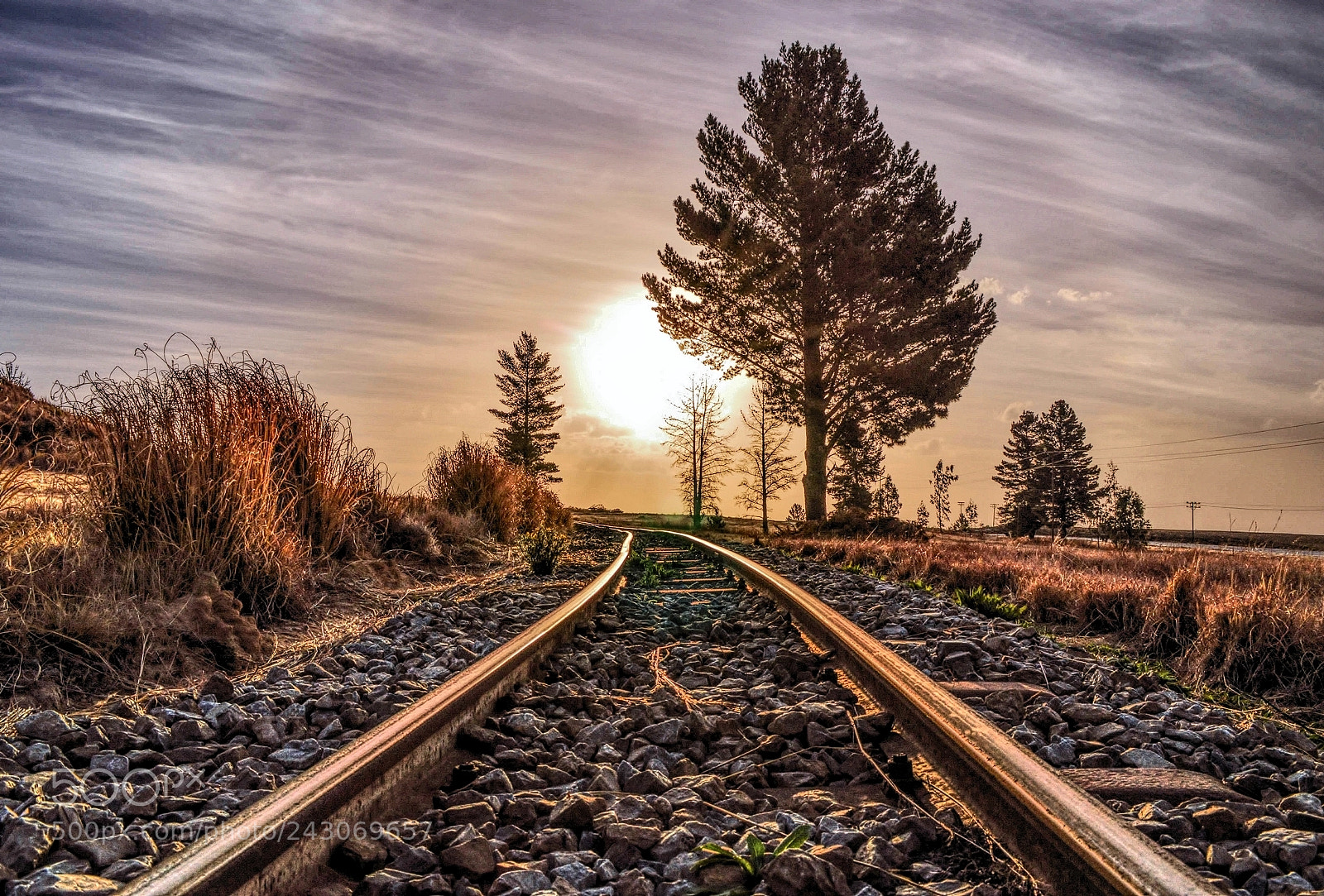 Nikon D3200 sample photo. Don't stop the train photography