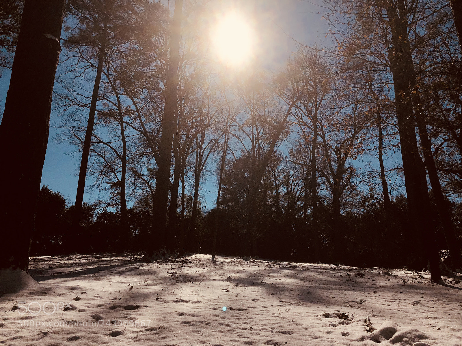 Apple iPhone X sample photo. Warm shadows photography
