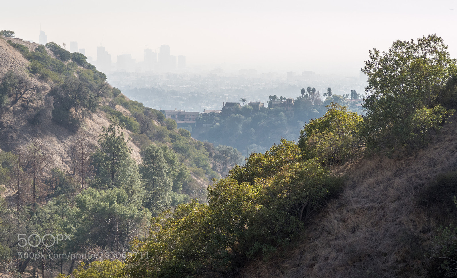 Canon PowerShot G7 X Mark II sample photo. Griffith park photography