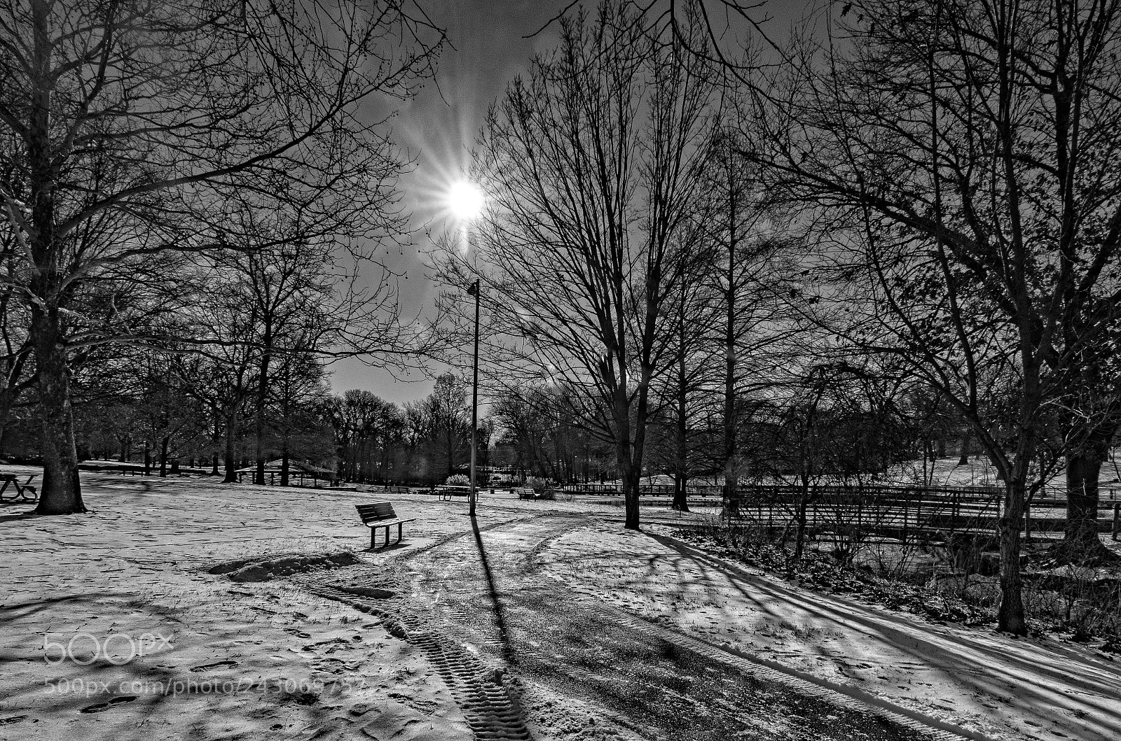 Nikon D5100 sample photo. Winter morning photography