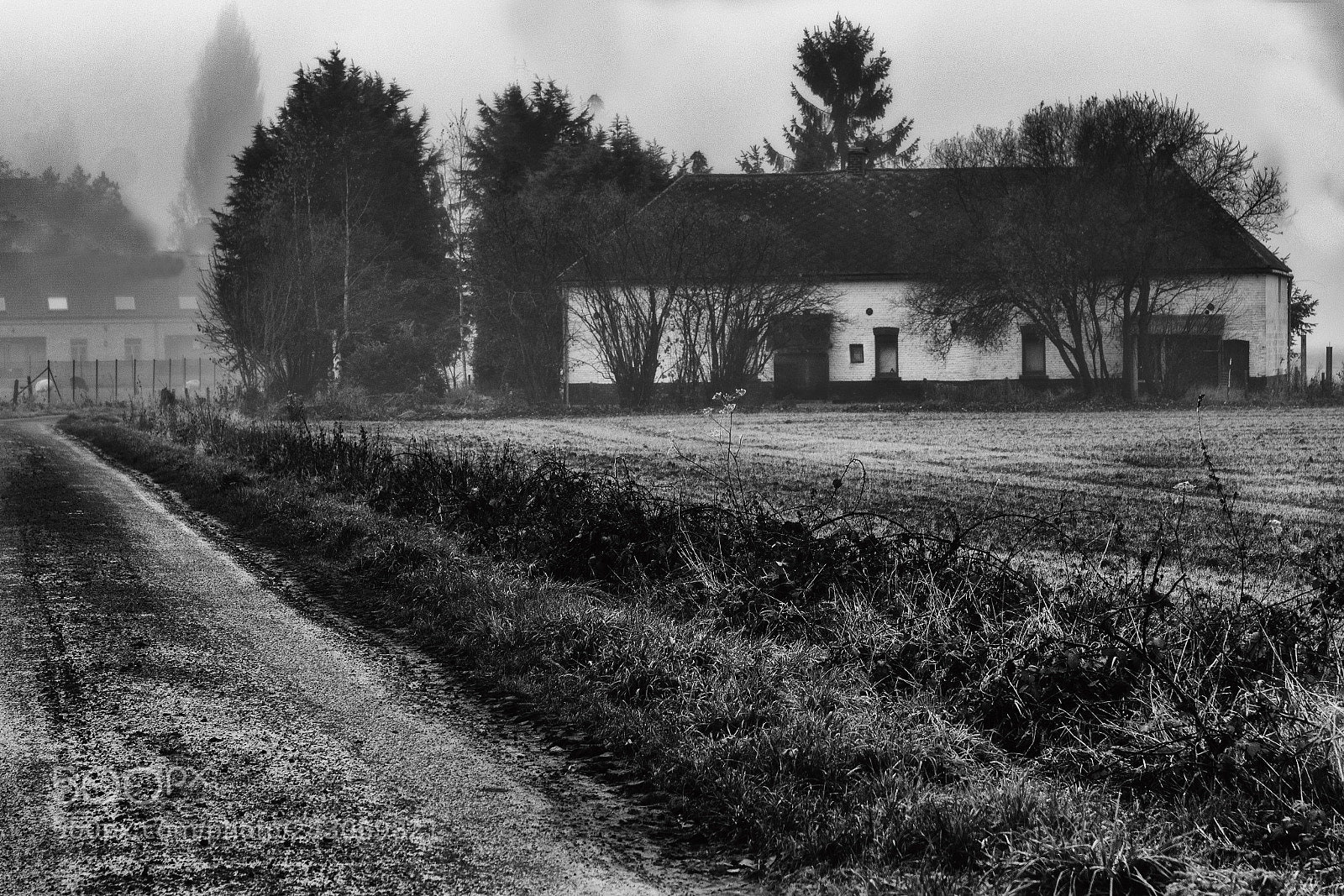 Sony SLT-A77 sample photo. Vieux chemin photography