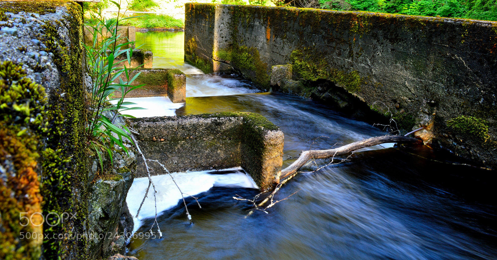 Nikon D3200 sample photo. Quatse fish ladder photography