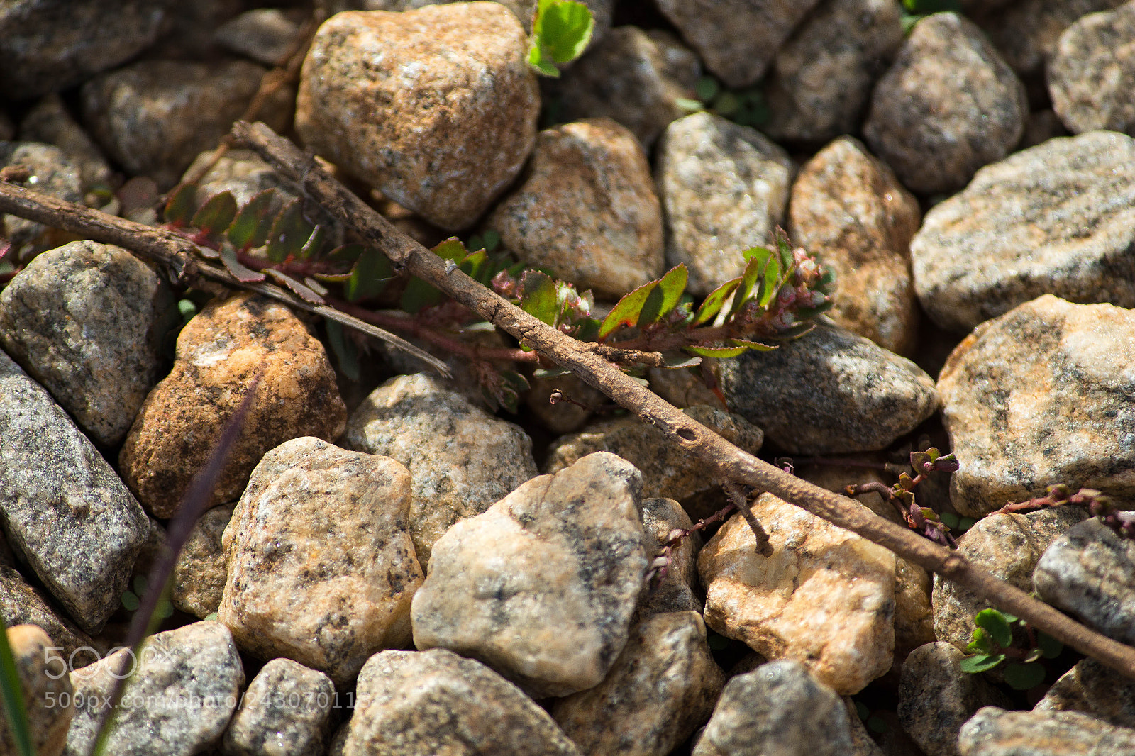 Canon EOS 700D (EOS Rebel T5i / EOS Kiss X7i) sample photo. Stones on the way photography