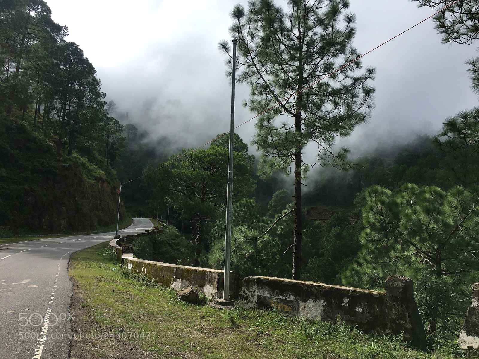 Apple iPhone 6s sample photo. Fog & forest photography