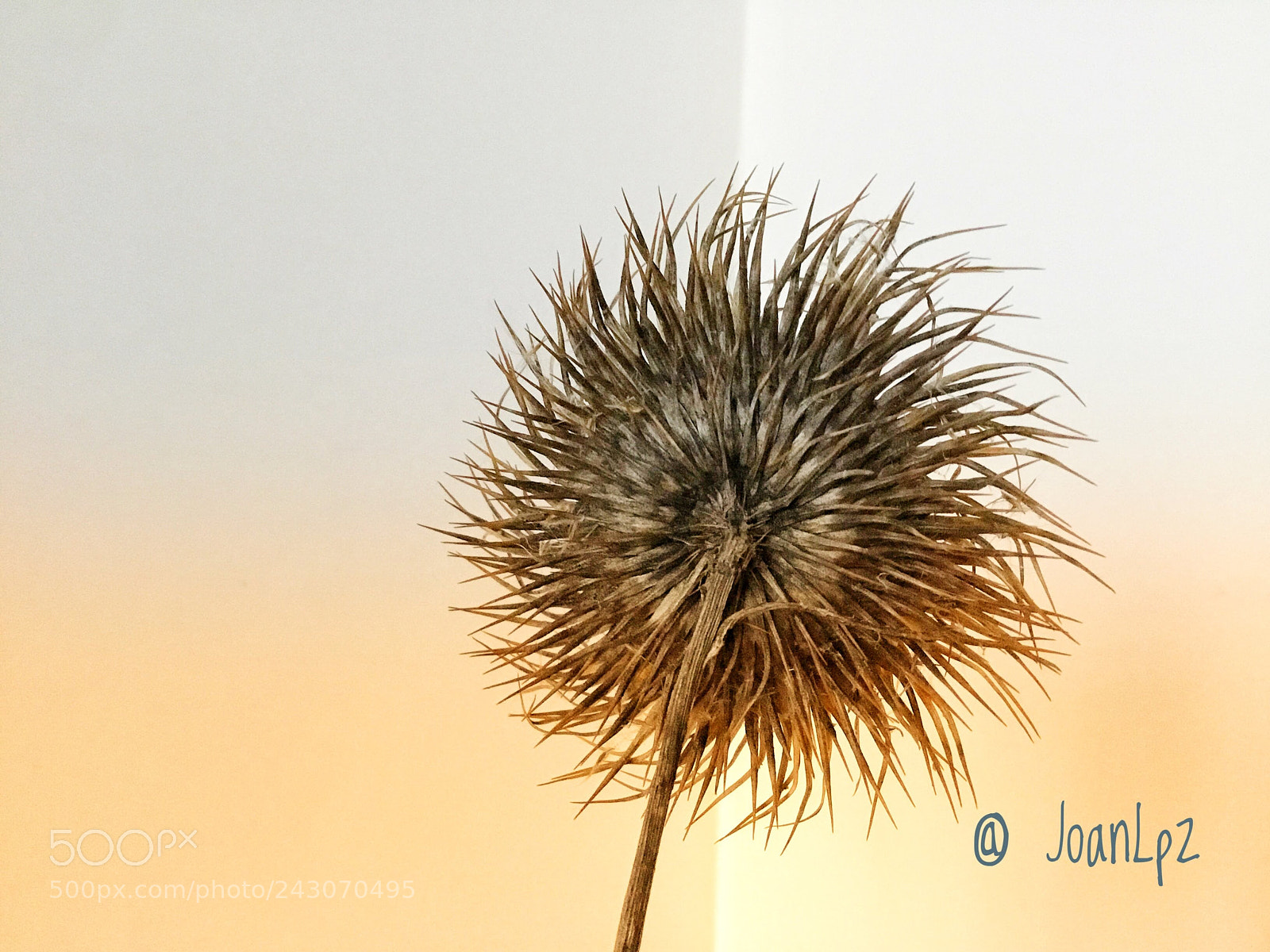 Apple iPad (5th generation) sample photo. Colores photography