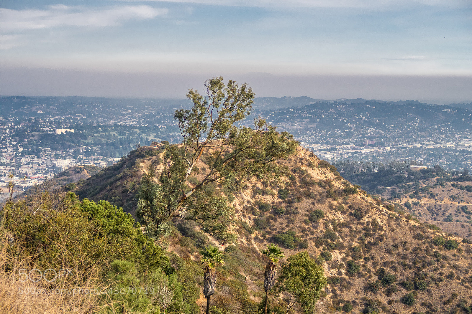 Canon PowerShot G7 X Mark II sample photo. Griffith park 6 photography