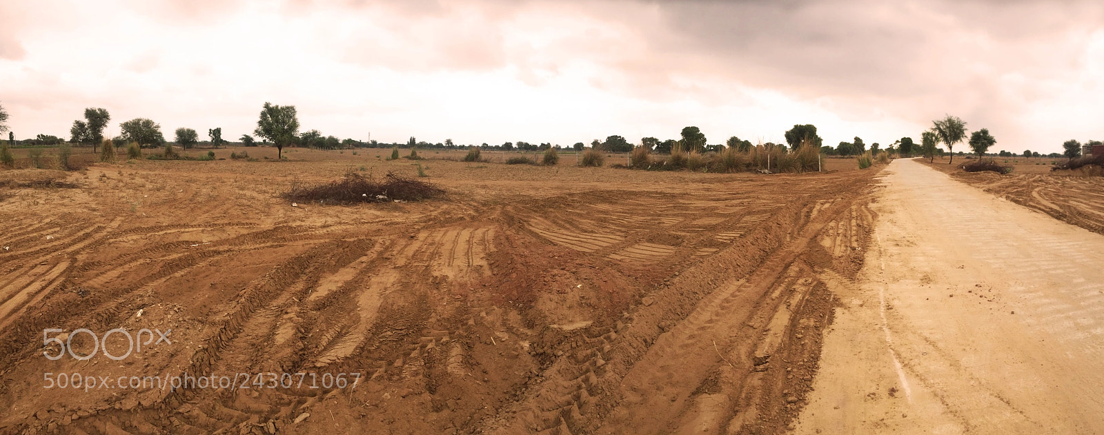 Apple iPhone 6 sample photo. Barren photography