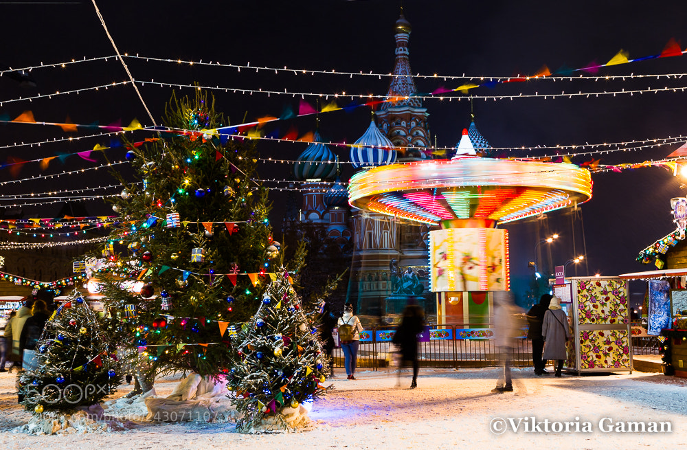 Canon EOS-1D Mark IV sample photo. Moscow, russia, december 6 photography