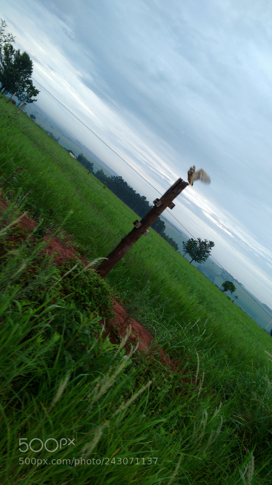 Motorola Moto G (2nd Gen) sample photo. Untitled photography