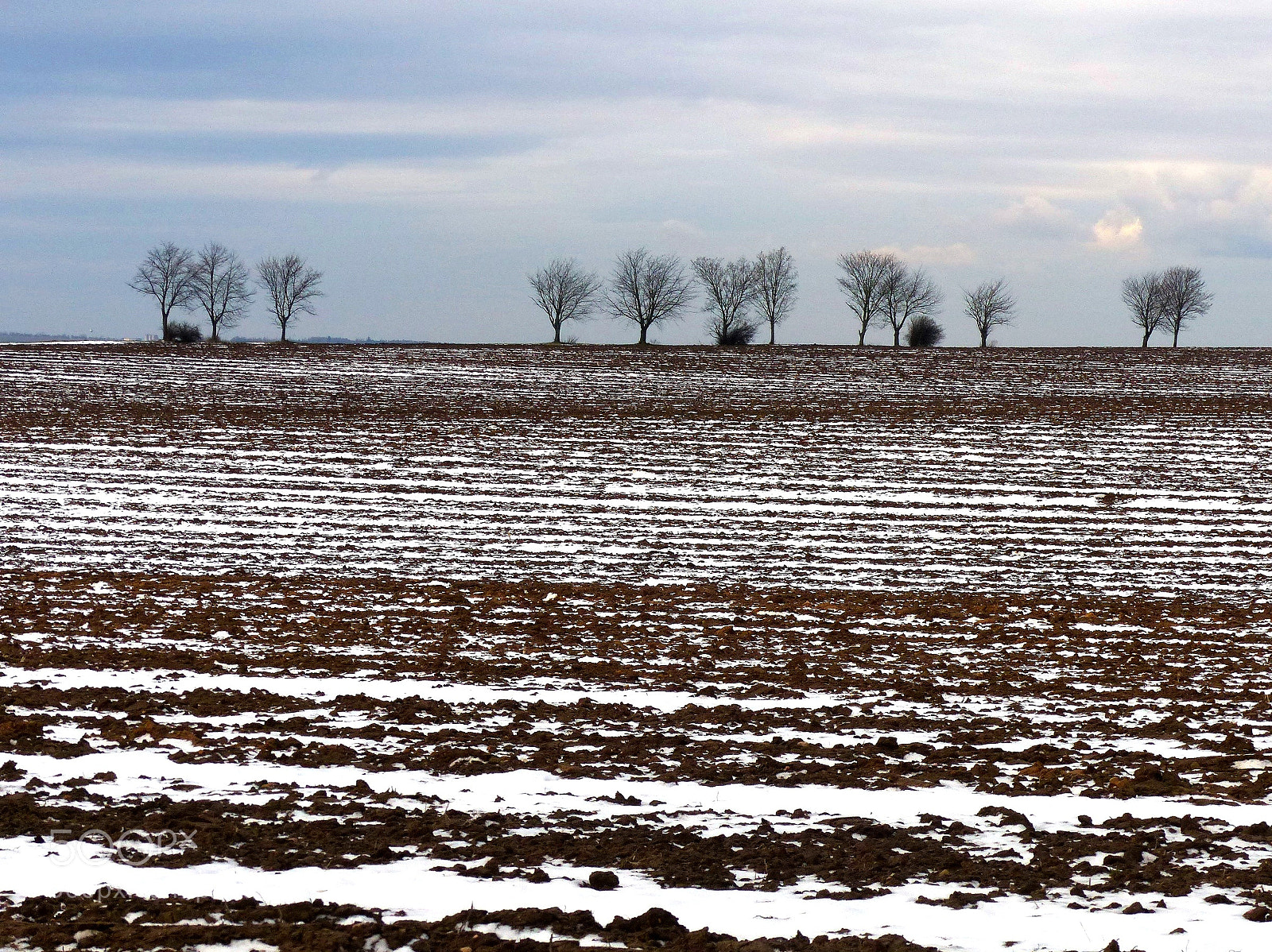 Panasonic Lumix DMC-FZ200 sample photo. Just a field photography