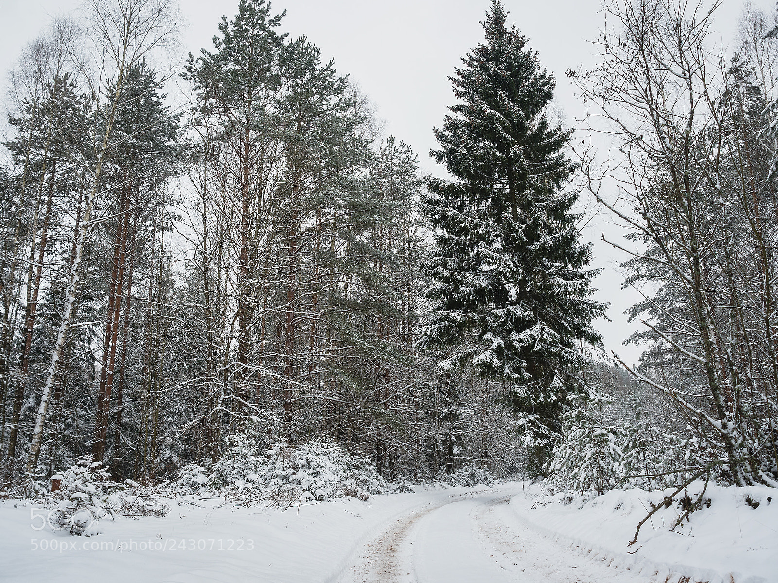 Panasonic Lumix DMC-G6 sample photo. The beauty of belarusian photography