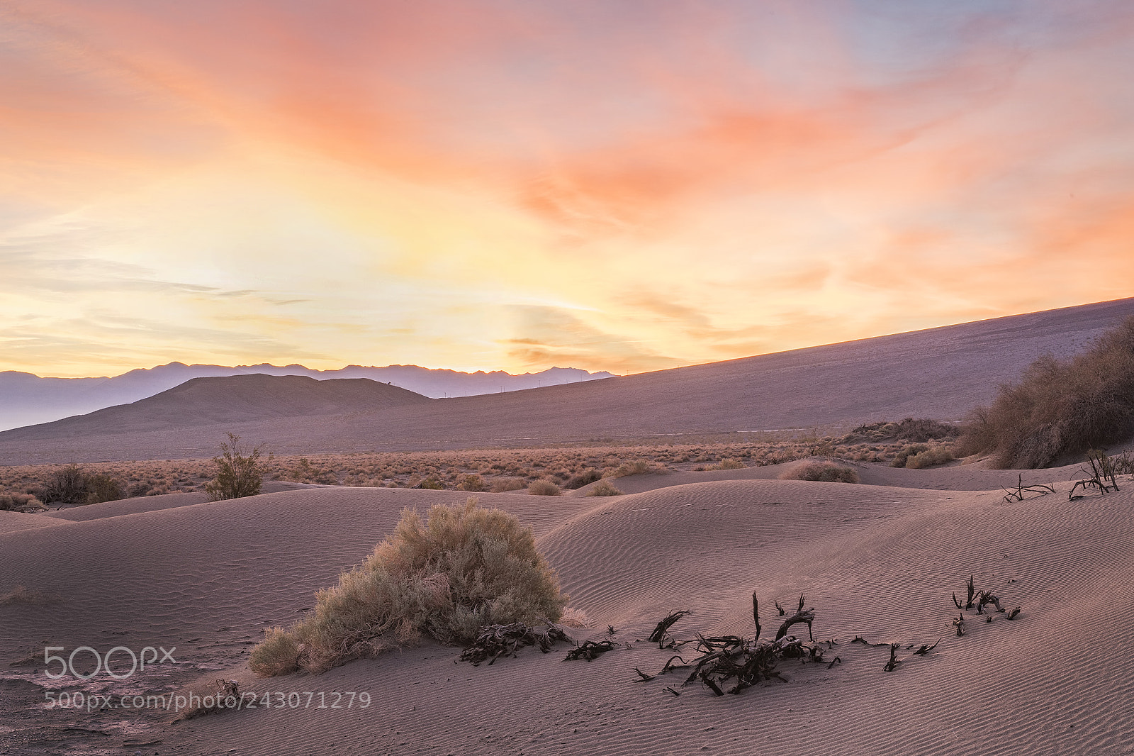 Nikon D850 sample photo. Sunrise over the dunes photography