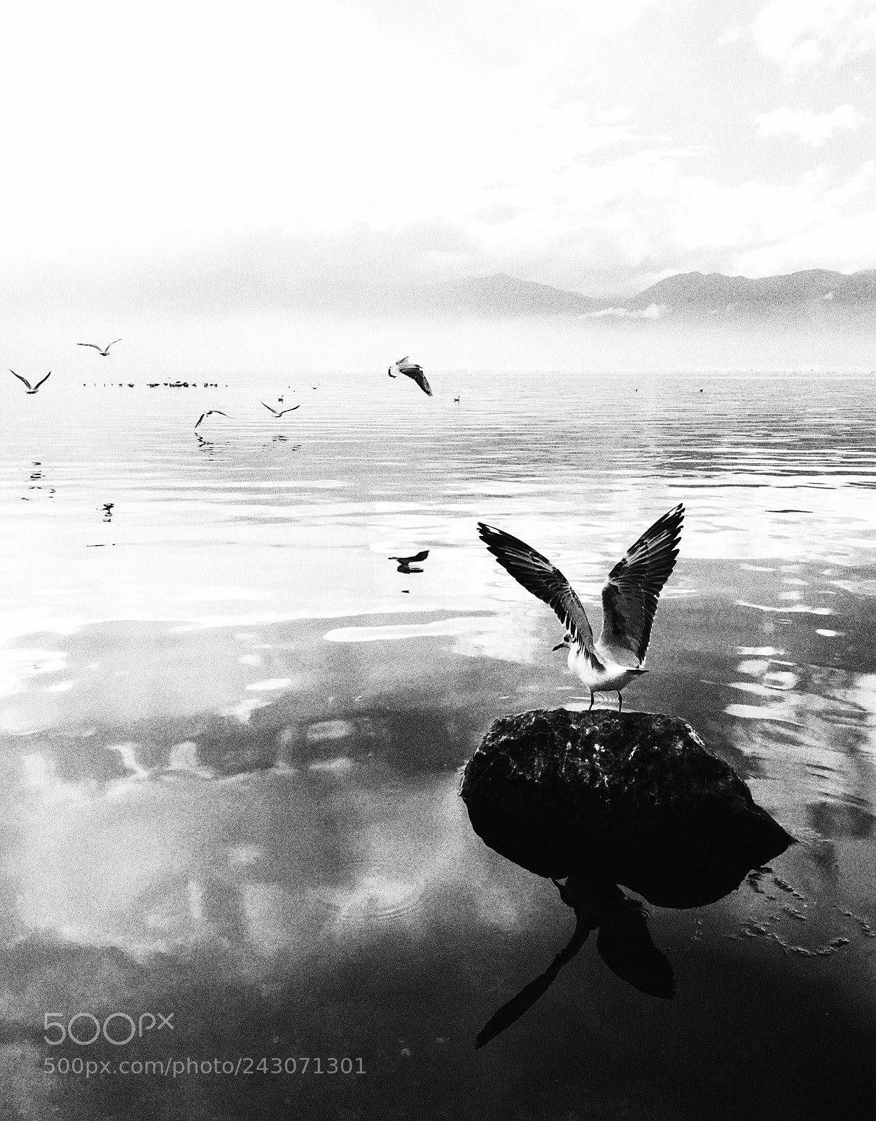 Apple iPhone 6s sample photo. Untitled photography