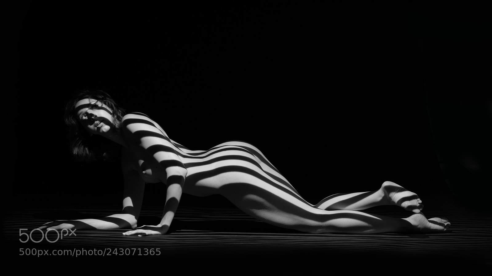 Nikon D800 sample photo. Projection photography