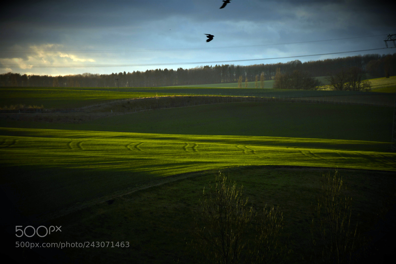 Nikon D500 sample photo. Licht und schatten photography