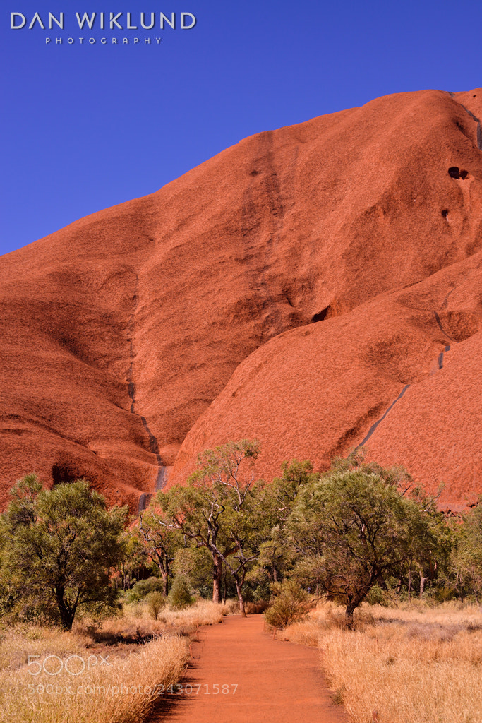 Nikon D800 sample photo. Path to uluru photography