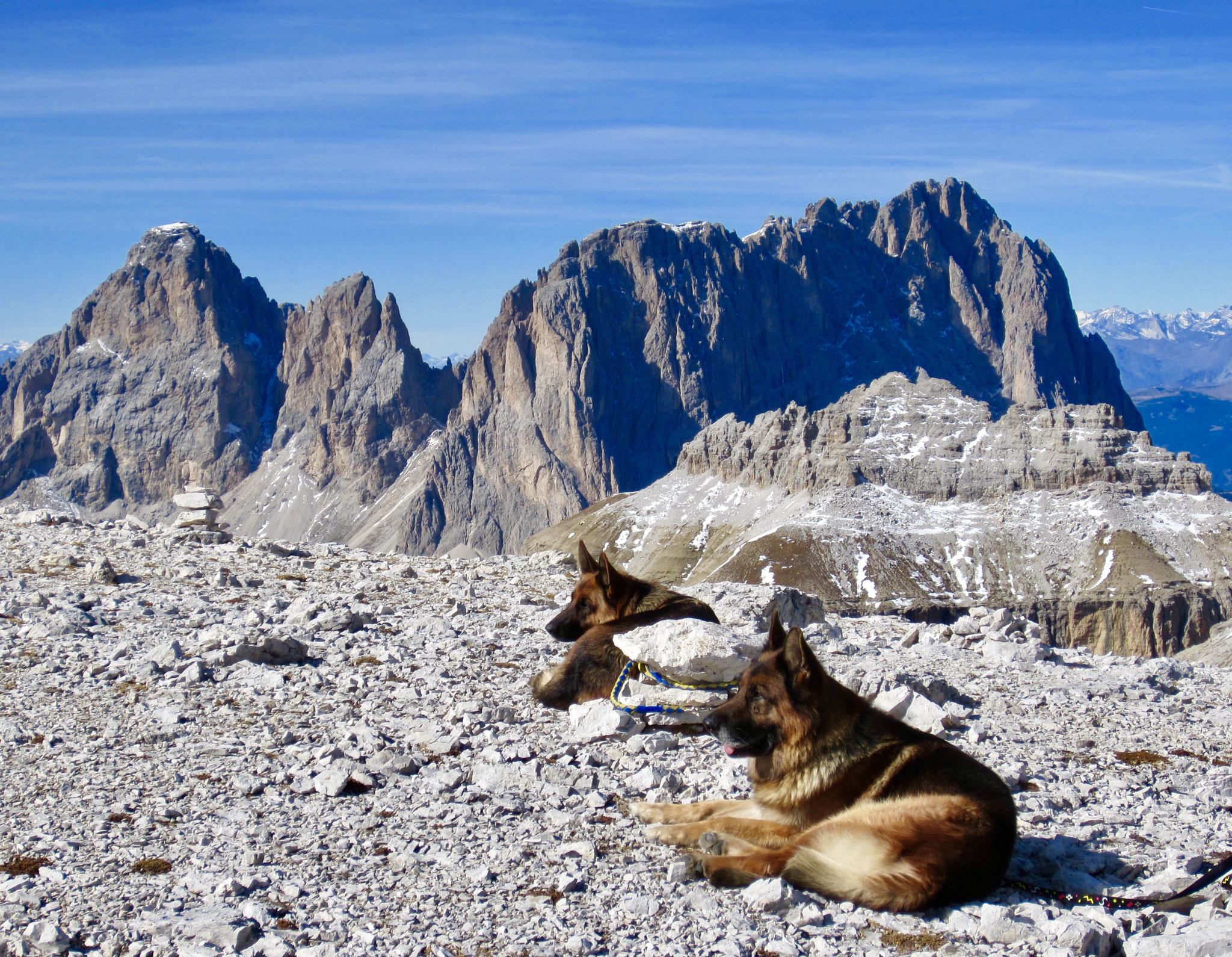 Canon PowerShot ELPH 300 HS (IXUS 220 HS / IXY 410F) sample photo. Dogs on the mountain - near the sella funicular photography