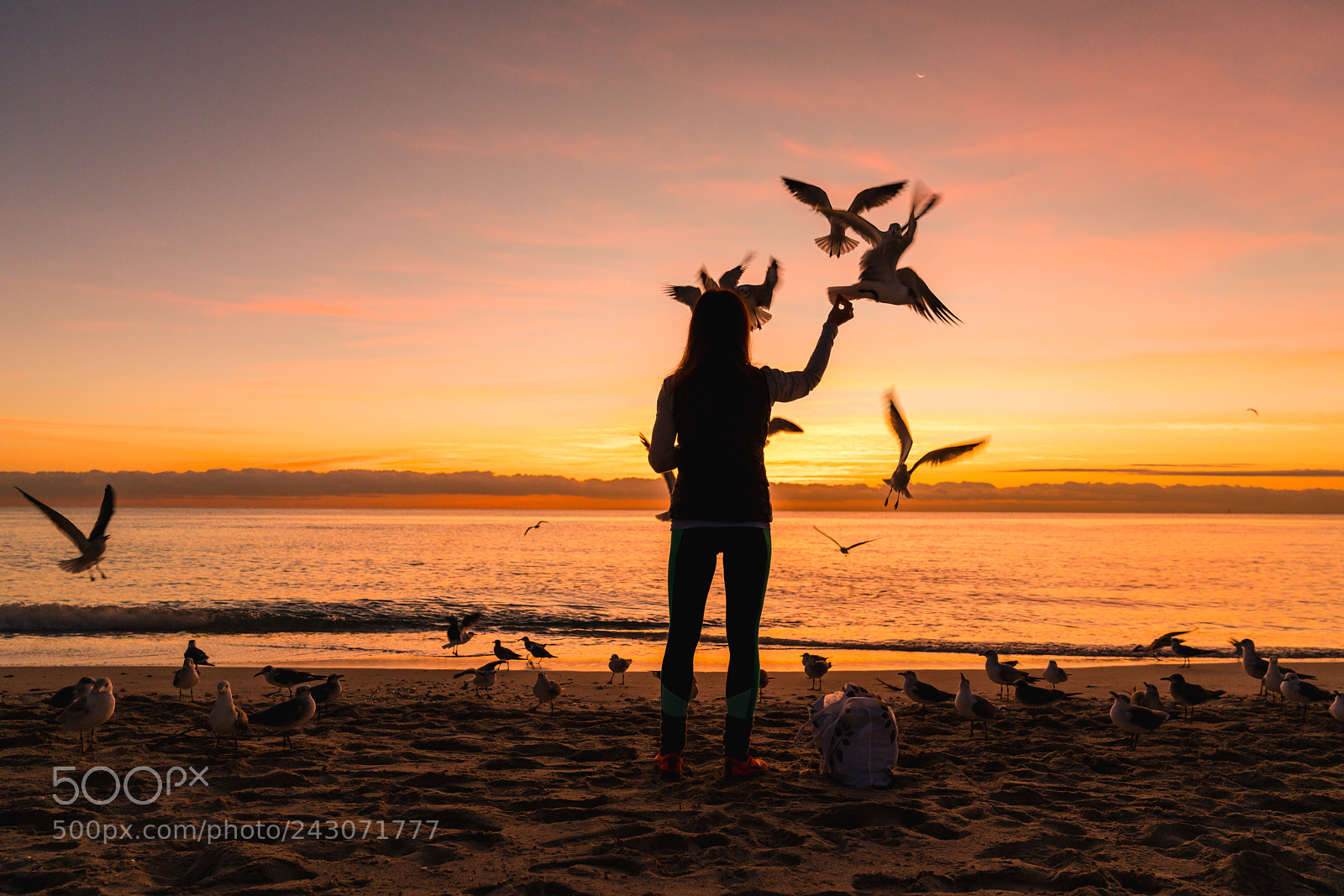 Sony a7R III sample photo. Early birds photography