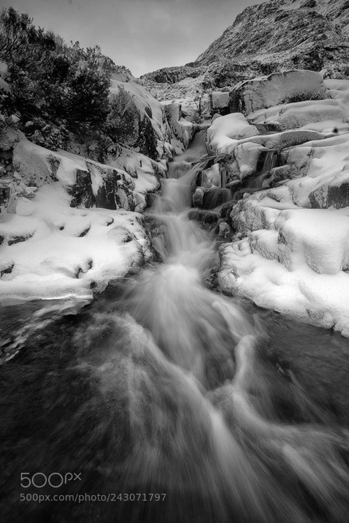 Nikon D810 sample photo. Frozen falls photography