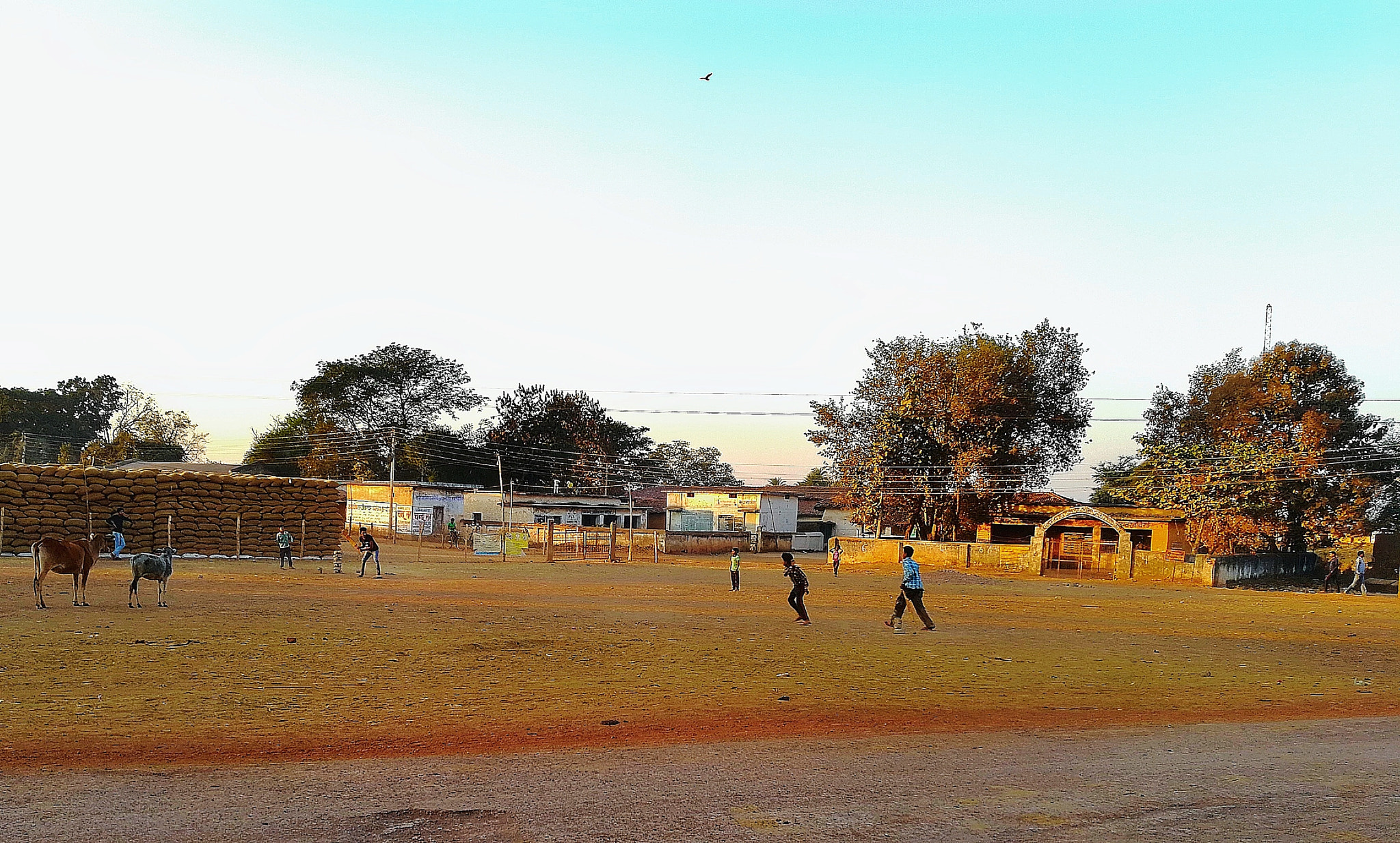 HUAWEI Honor 8 Pro sample photo. A village playground at evening photography