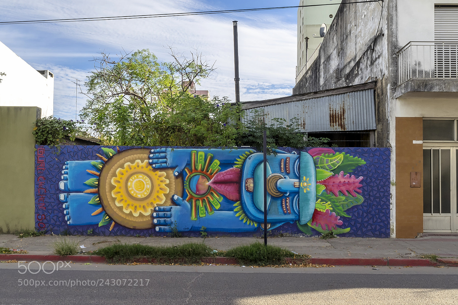 Olympus OM-D E-M1 sample photo. Mural etnico photography