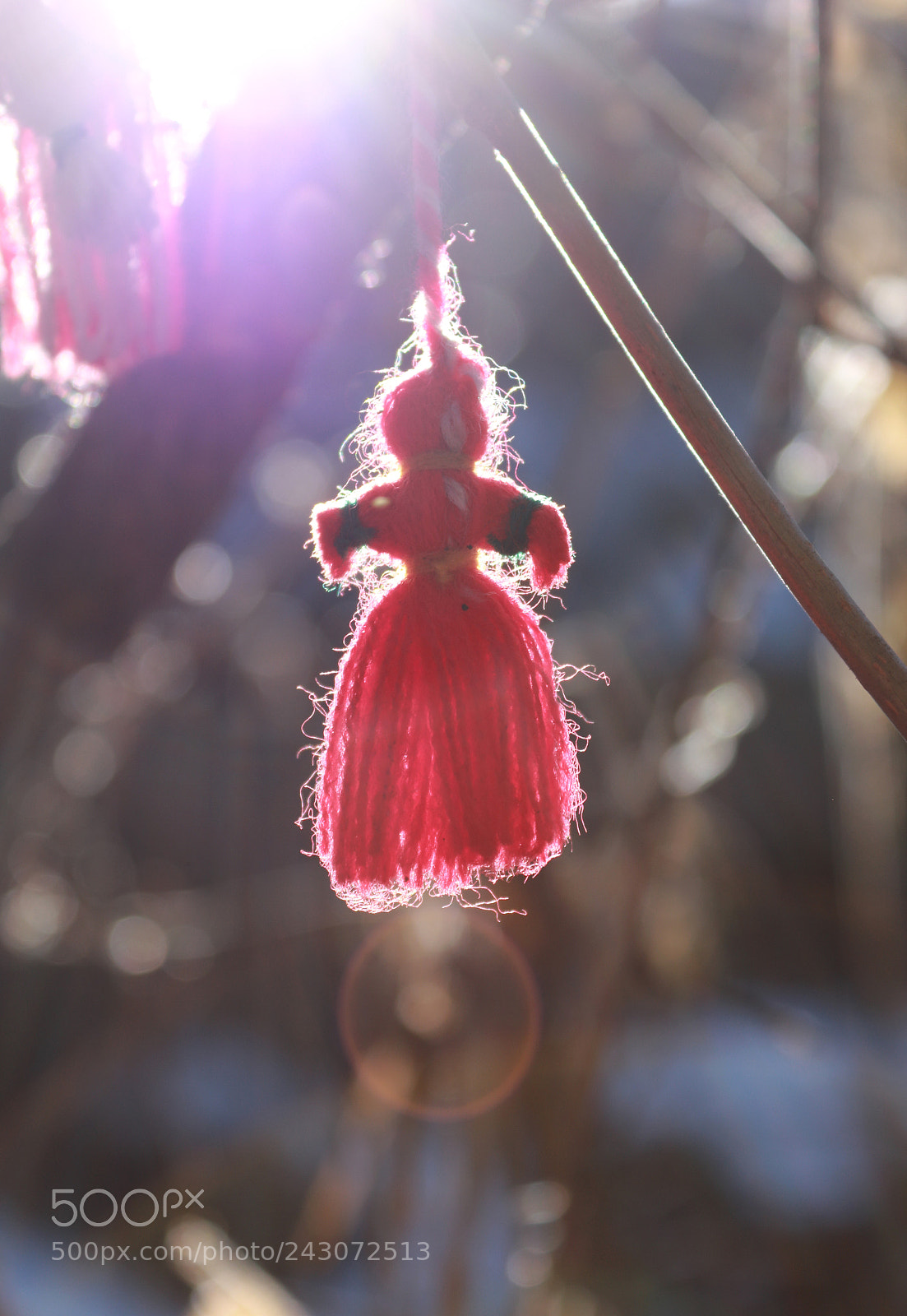 Canon EOS 750D (EOS Rebel T6i / EOS Kiss X8i) sample photo. Spring! photography