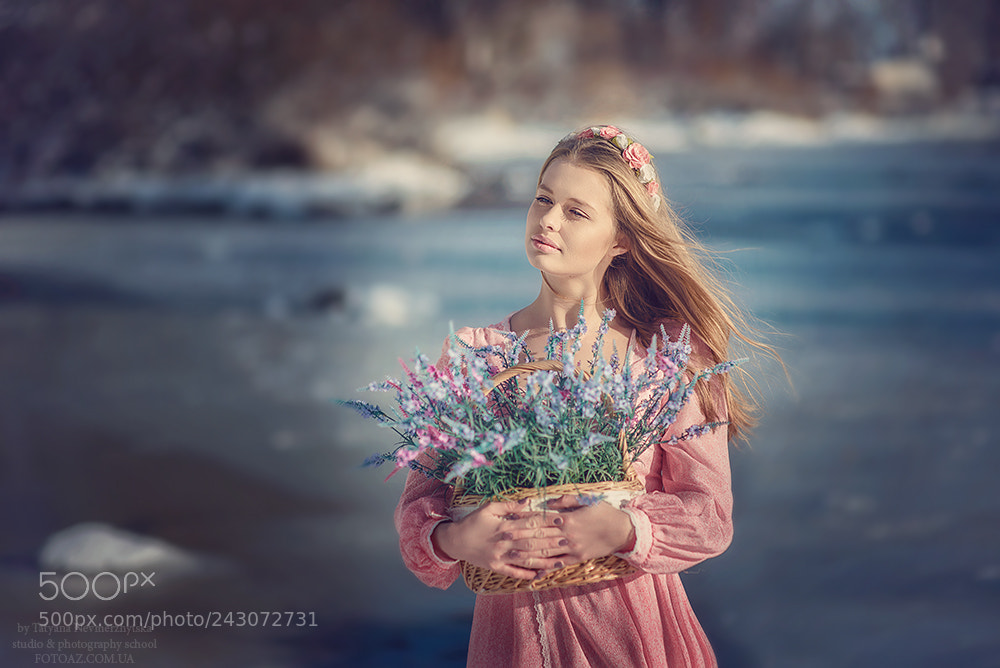 Nikon D610 sample photo. Spring is coming photography