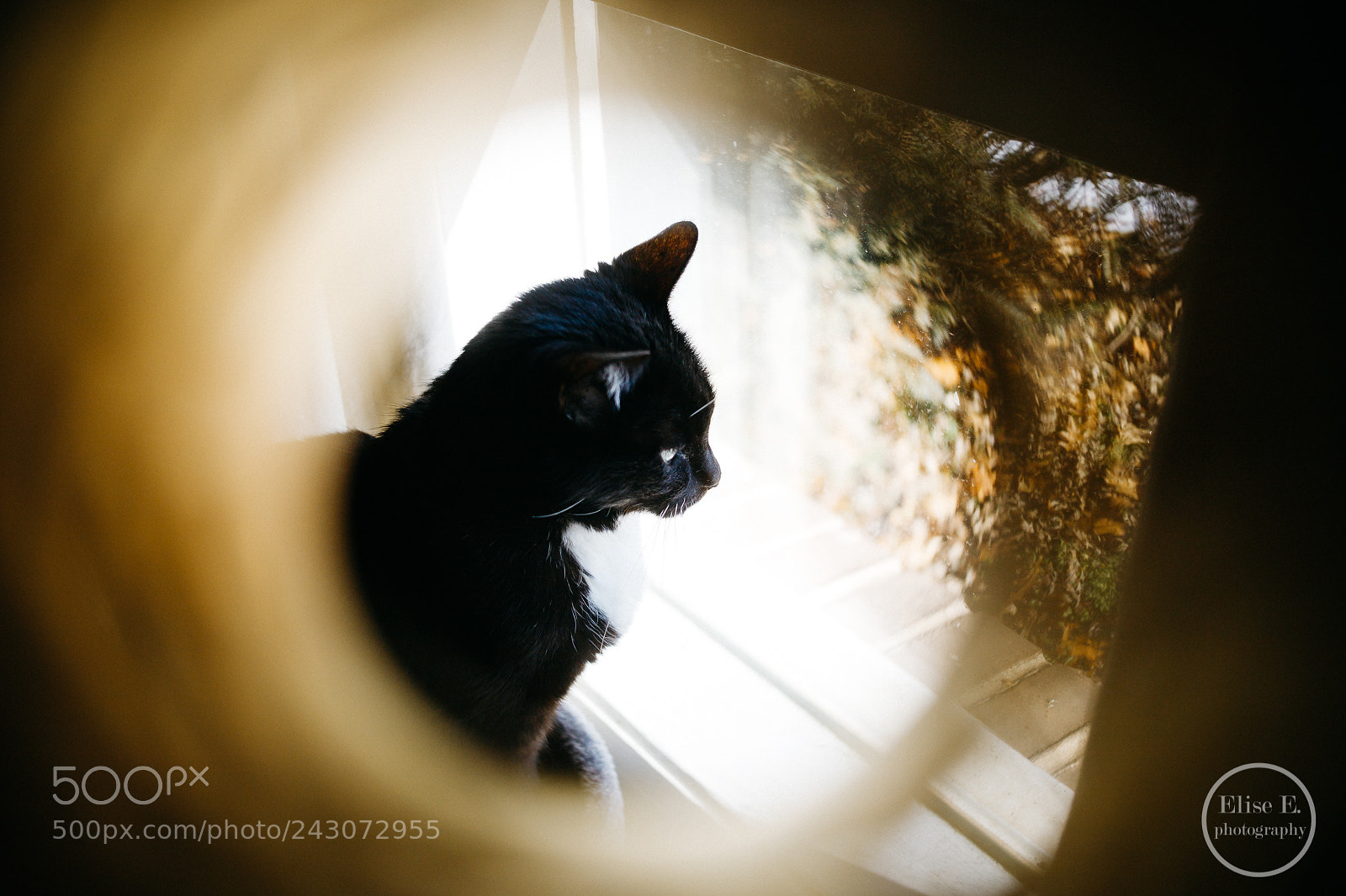 Canon EOS 6D Mark II sample photo. Untitled photography