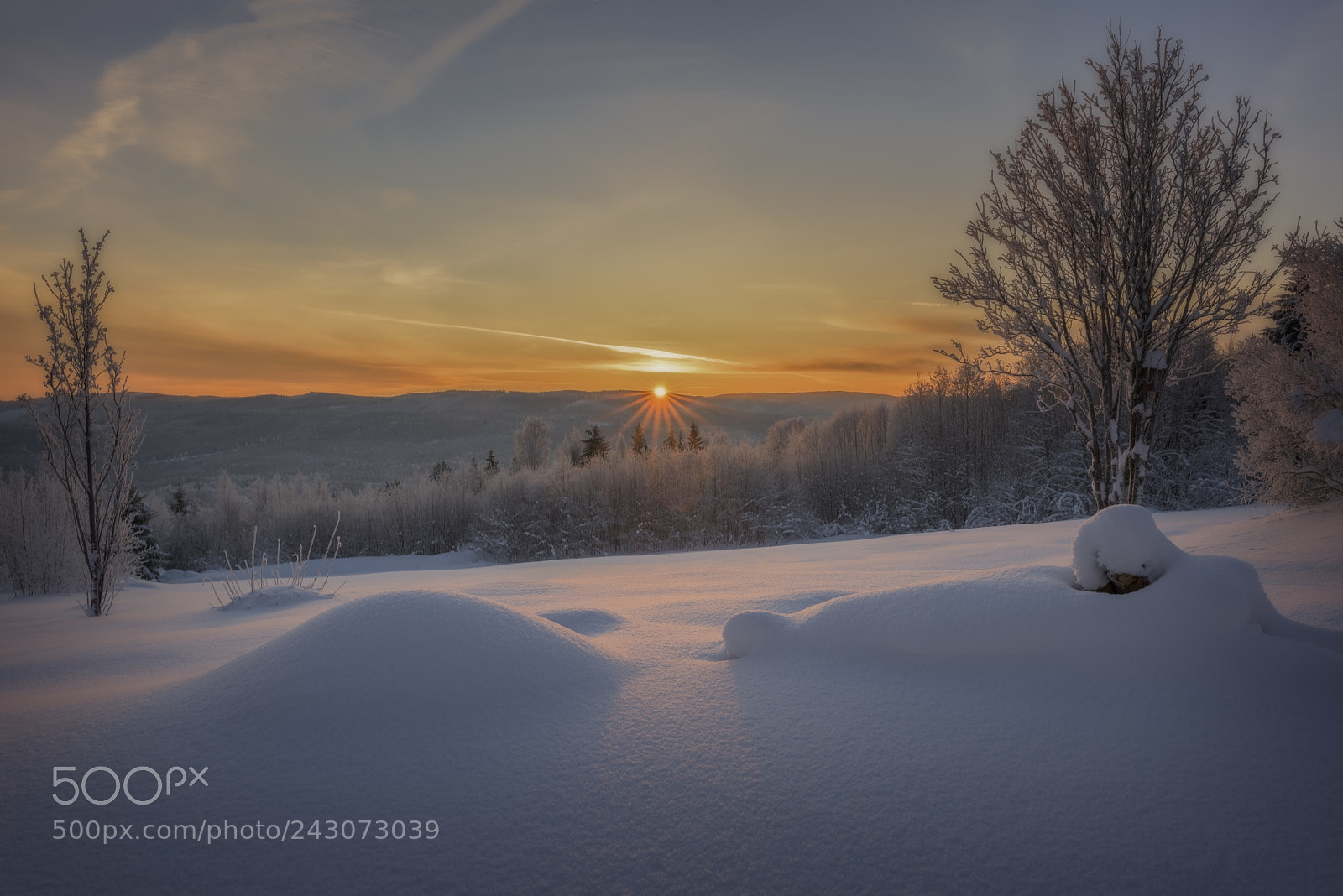 Nikon D810 sample photo. Sun rays in orange photography