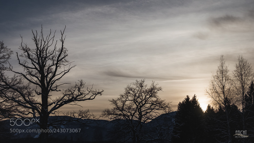 Fujifilm X-T2 sample photo. Wintersunset photography