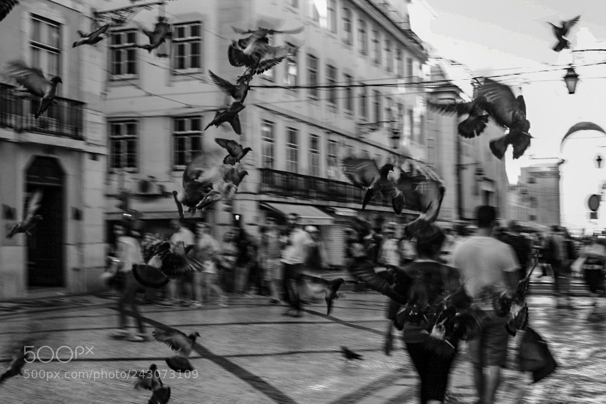 Canon EOS 5D sample photo. Untitled photography