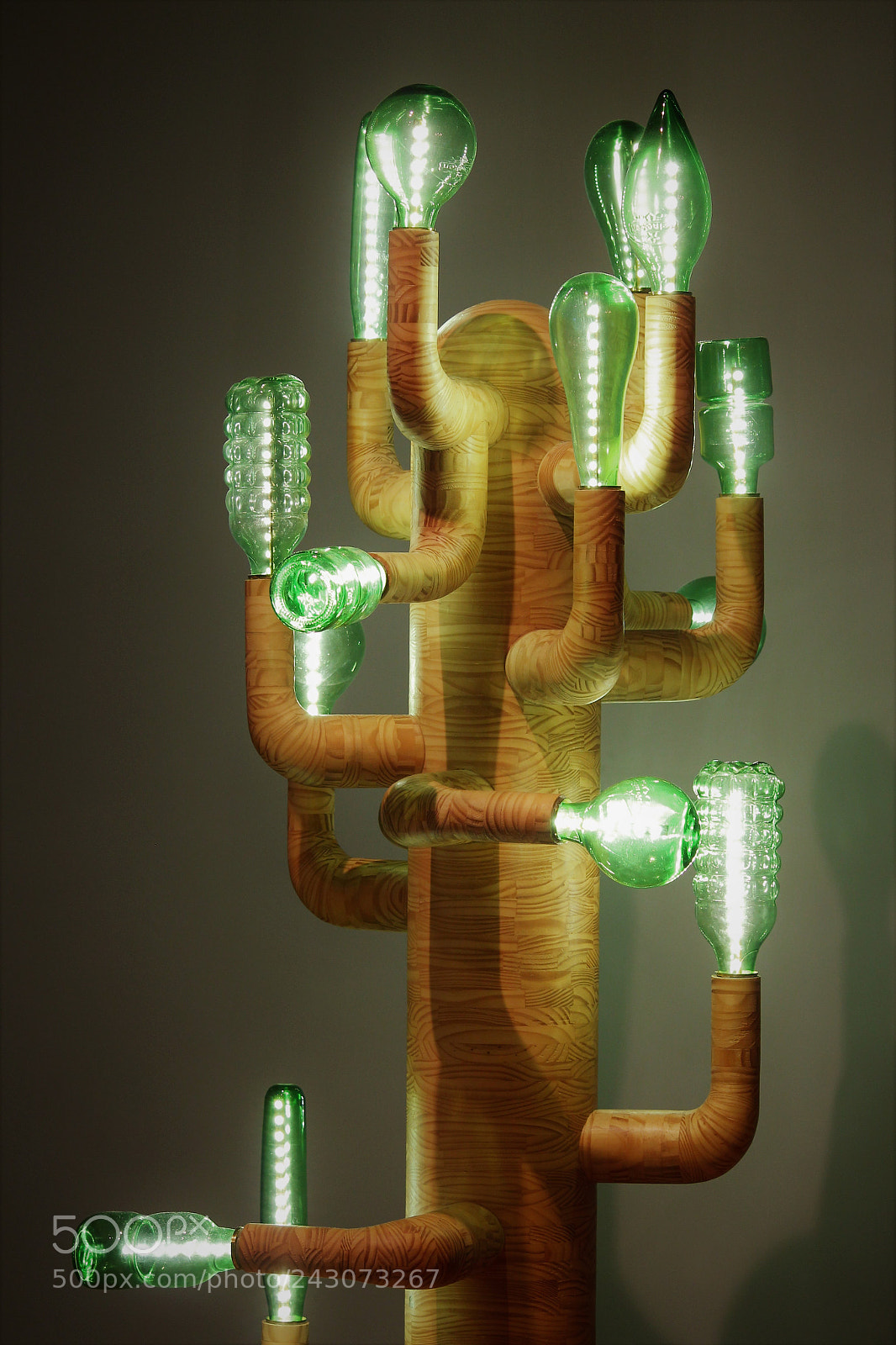 Canon EOS 650D (EOS Rebel T4i / EOS Kiss X6i) sample photo. Mad cactus light photography