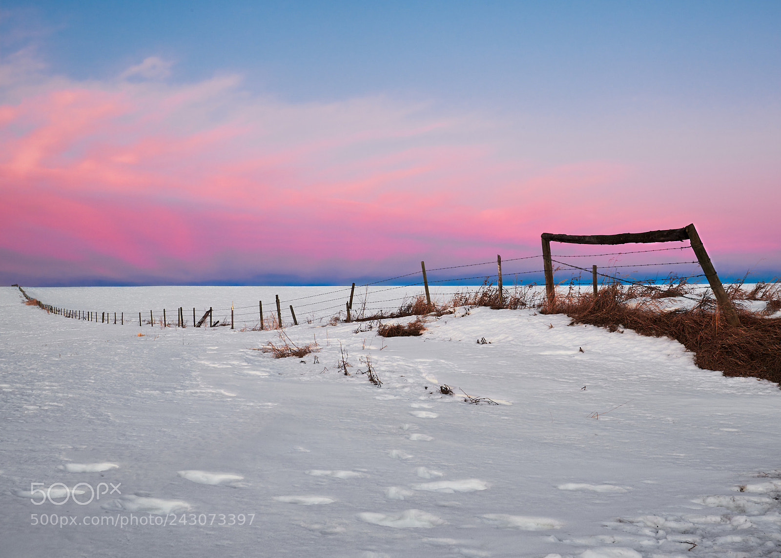 Nikon D850 sample photo. Predawn winter fence nw photography