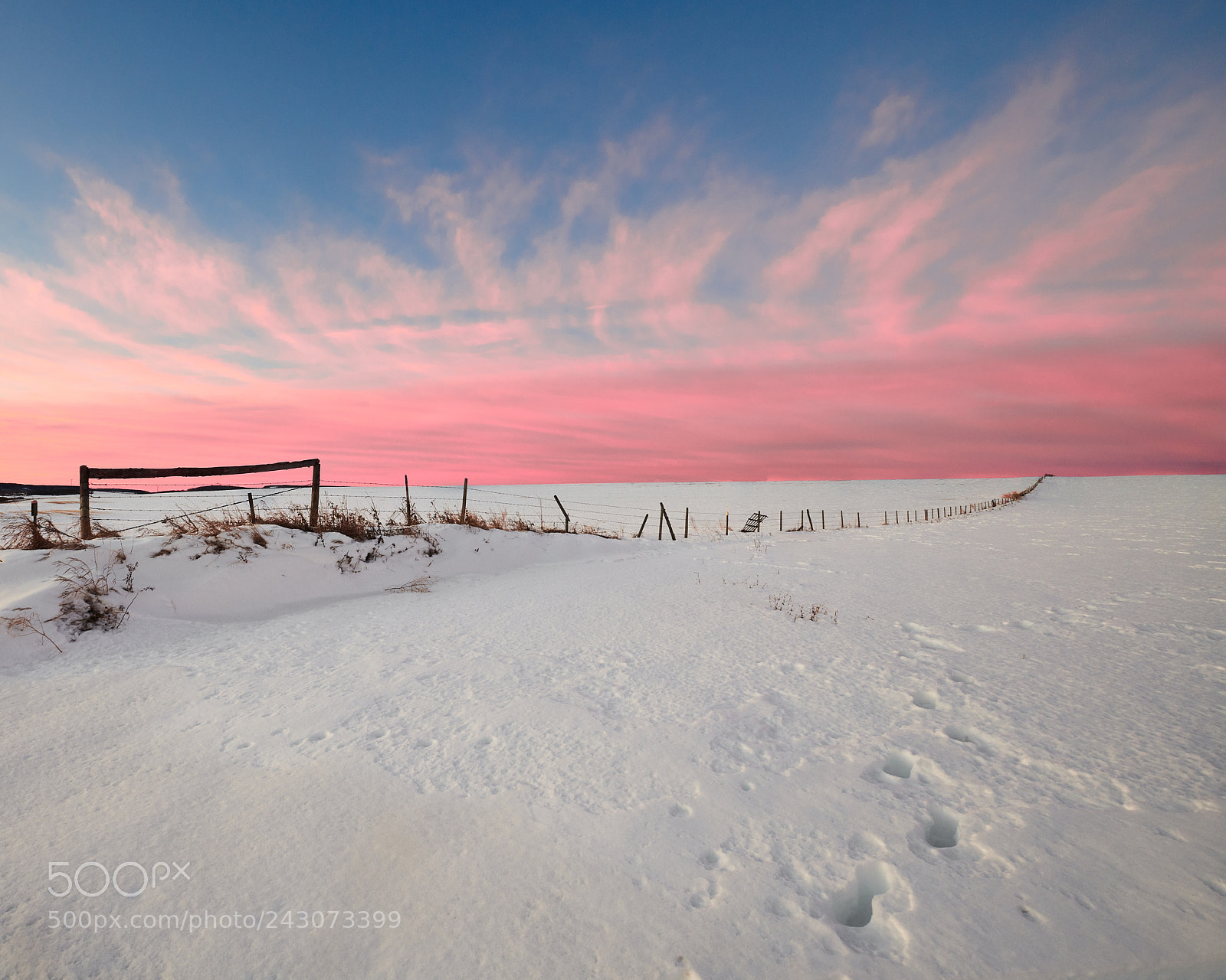 Nikon D850 sample photo. Predawn winter fence sw photography