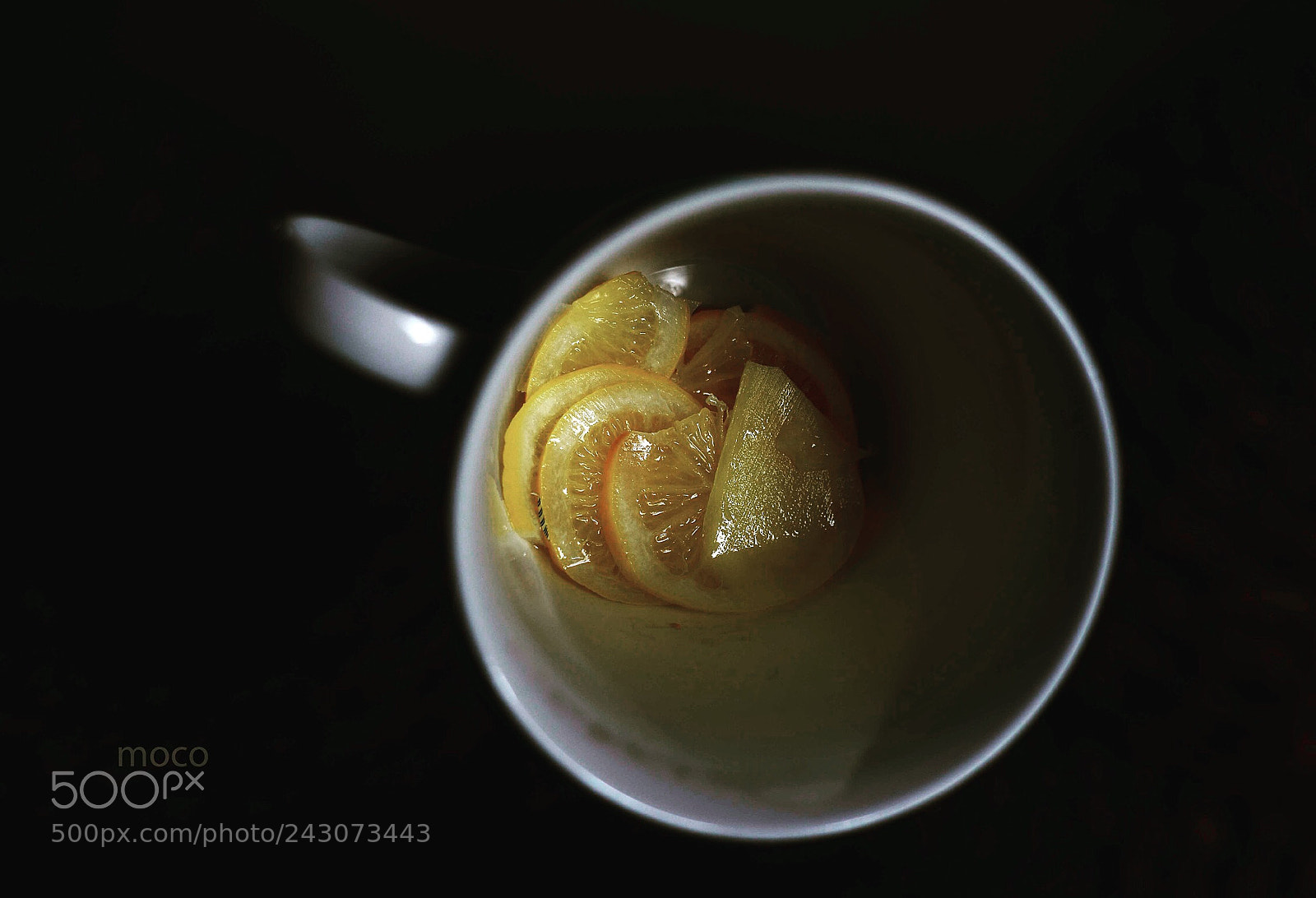 Nikon D800 sample photo. If life throws you photography