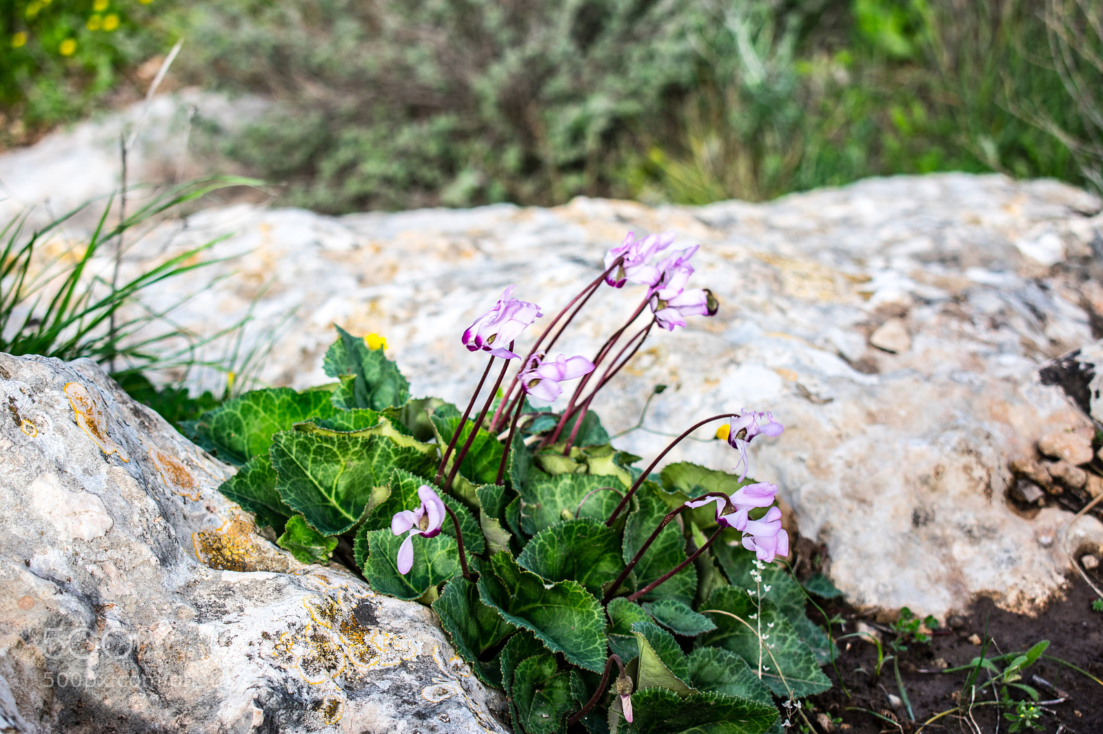 Nikon D3400 sample photo. Just show up after photography